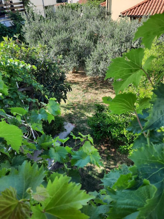 Apartmani Gracela Vodice Dış mekan fotoğraf